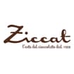 Logo Ziccat Srl