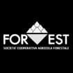 Logo Forest - Società Cooperativa Agricola Forestale Siglabile Forest S.c.a.f.