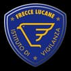 Logo Frecce Lucane Srl