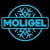 Logo Moligel Srl