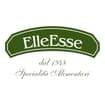 Logo Elleesse Srl
