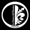 Logo Goldfir Srl