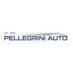 Logo Pellegrini Auto S.n.c. Di Pellegrini Giuseppe & C.