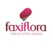 Logo Gruppo Internazionale T.f. Srl