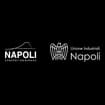 Logo Alfonso Scuotto Group Srl