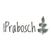 Logo Apartments Prabosch Di Monika Rier