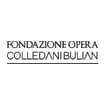 Logo Fondazione Opera Colledani-Bulian