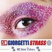 Logo Giorgetti Giorgio Srl