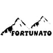 Logo Fortunato S.n.c. Di Fortunato Andrea & C. Siglabile "Fortunato S.n.c."