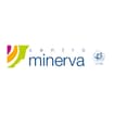 Logo Centro Minerva Srl