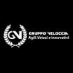 Logo Gruppo Veloccia Srl