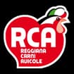 Logo R.c.a. Srl