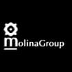 Logo Molina Pipe Srl O In Forma Abbreviata Molina Group Srl