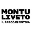 Logo Monteoliveto Srl Semplificata - In Breve - Monteoliveto Srls