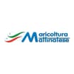 Logo Maricoltura Mattinatese Società Cooperativa Agricola