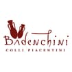 Logo Az. Vitivinicola Badenchini S.s.