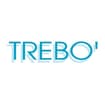 Logo Trebo' Di Trebo' Stefano & C. S.n.c.