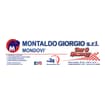 Logo Montaldo Giorgio Srl
