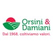 Logo Orsini Gino - Damiani Filippo Srl