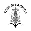 Logo Tenuta La Spiga Società Agricola S.s.