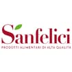 Logo Sanfelici Franco Srl