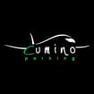Logo Cumino Srl