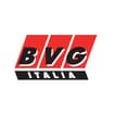 Logo B.v.g. Italia Srl