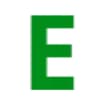 Logo Evergreen Di Brondi Emanuele