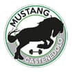 Logo Mustang Di Bezzi Paolo