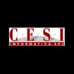 Logo Consulenza Elaborazioni Servizi Informatica C.e.s.i. Srl