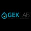 Logo Gek Srl