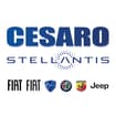 Logo Cesaro Srl