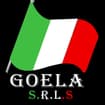 Logo Goela Srl Semplificata