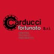 Logo Carducci Fortunato Srl