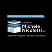 Logo Nicoletti Michele Srl