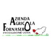 Logo Fornasero Bruno