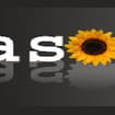 Logo Società Cooperativa Sociale Il Girasole - Impresa Sociale