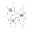Logo Scuola Psicoterapia Integrata Srl
