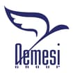 Logo Nemesi Srl