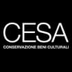 Logo C.e.s.a. Di Falcini Enzo Srl - In Breve "C.e.s.a. Srl"