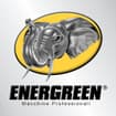 Logo Energreen Spa