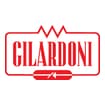 Logo Gilardoni Spa