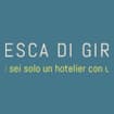 Logo Fd Strategia Di Di Girolamo Francesca