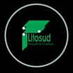 Logo Litosud-Srl