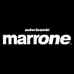 Logo Marrone Srl