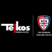 Logo Teikos Srl