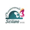 Logo "Siciliano Srl Semplificata"
