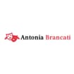 Logo "Antonia Brancati Srl"