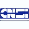 Logo Cnsi Srl