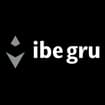 Logo I.b.e. Gru Srl